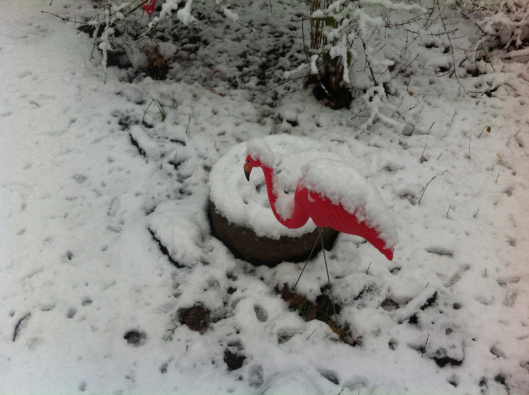 A plastic flamingo in the snow.