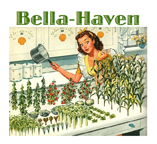 Newish but temporary logo for Bella-Haven.com.