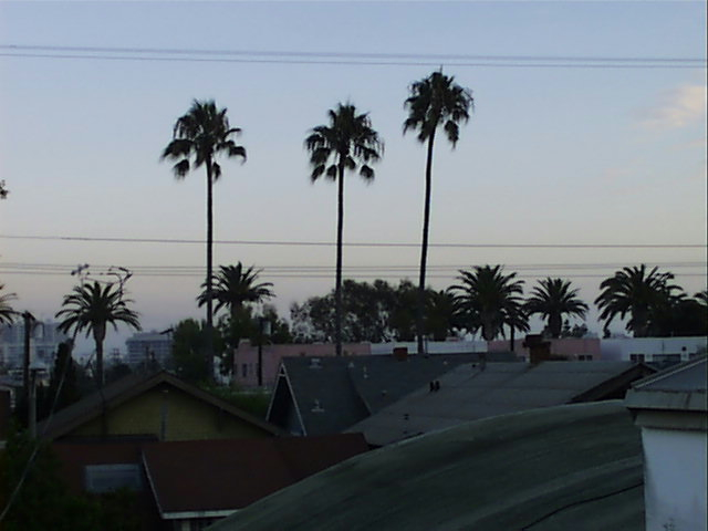 A photo looking over the rooftops of Venice, CA, looking toward the ocean.